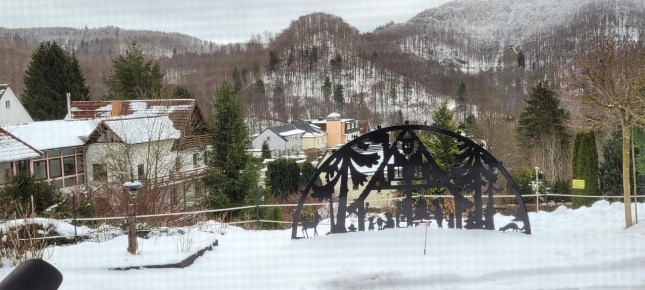Fewo Harz Haennig 1 Wieda Ngoại thất bức ảnh