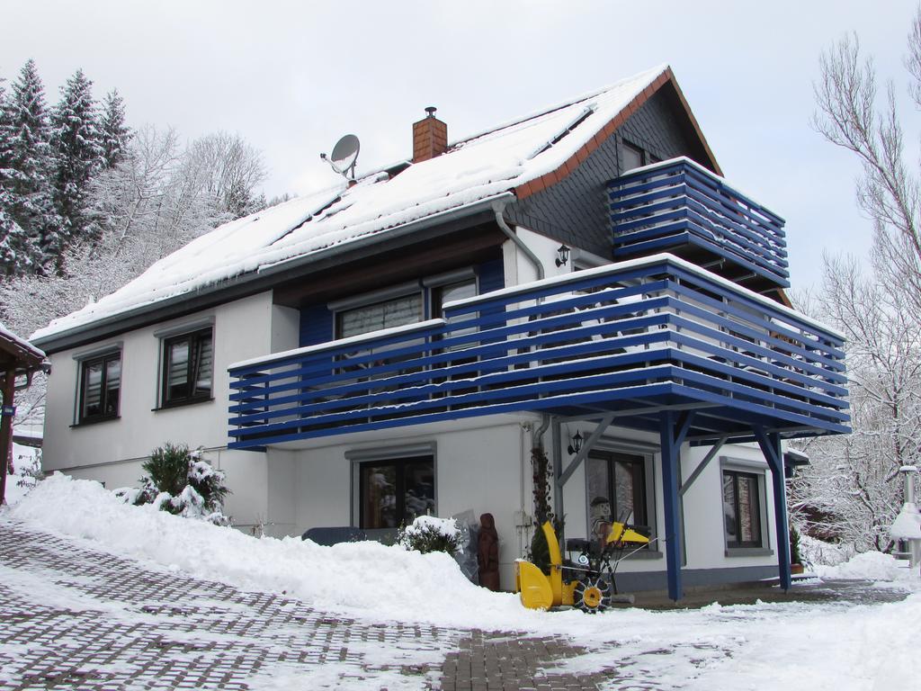 Fewo Harz Haennig 1 Wieda Ngoại thất bức ảnh