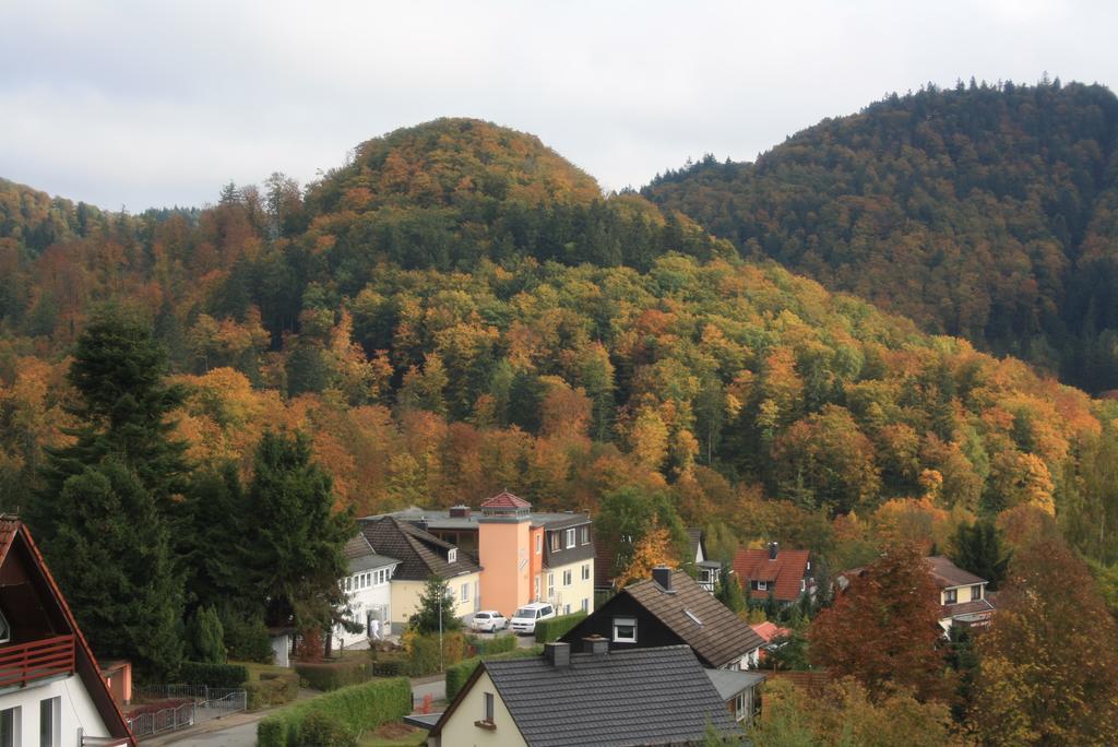 Fewo Harz Haennig 1 Wieda Ngoại thất bức ảnh